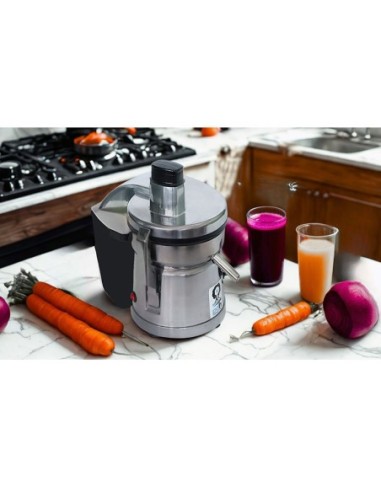 Extractor PDH Comercial de Jugos Modelo PD124