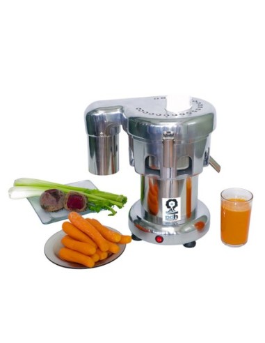 Extractor PDH Industrial de jugos Modelo PD93