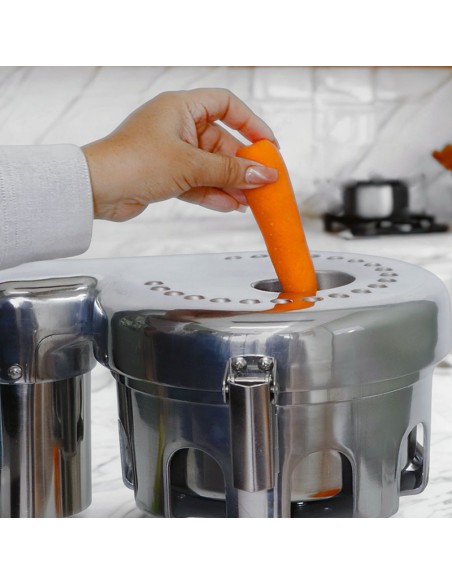 Extractor PDH Industrial de jugos Modelo PD93