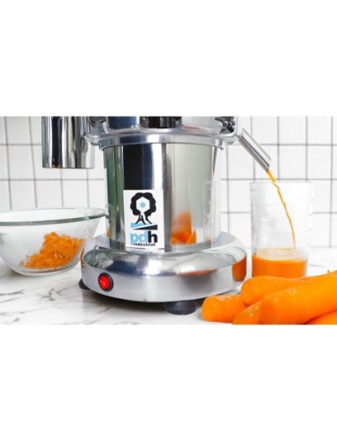 Extractor PDH Industrial de jugos Modelo PD93