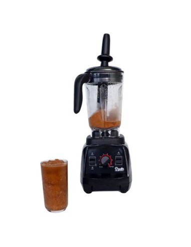 Licuadora PDH Profesional 2 litros Modelo PD504