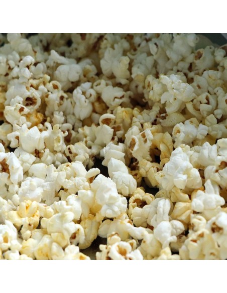 Máquina PDH Comercial de palomitas 8 onzas Modelo PD92