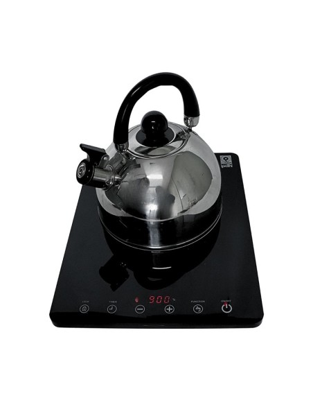 Parrilla de Inducción PDH 1 Quemador Modelo PD505