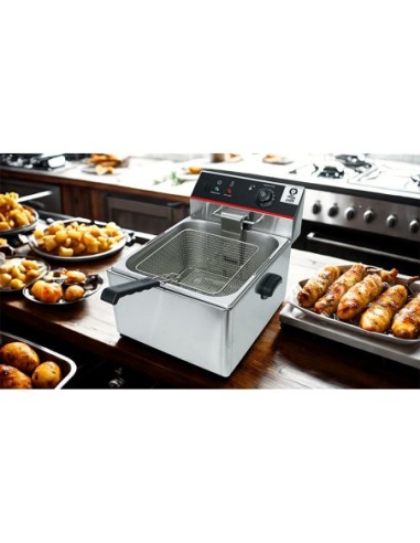 Freidora industrial 11 litros PD117