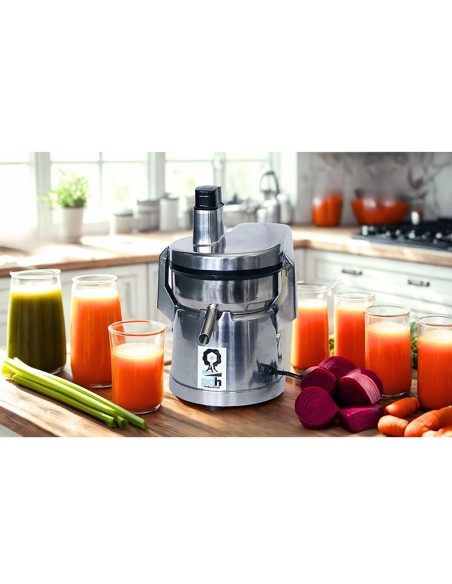 Extractor PDH Comercial de Jugos Modelo PD124