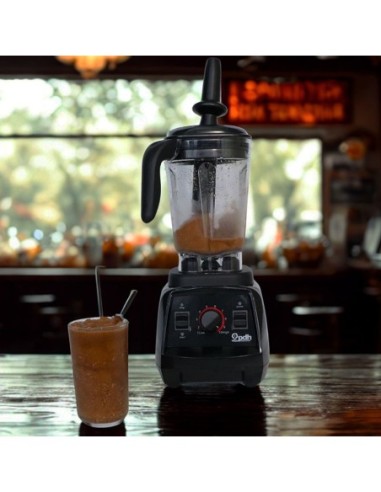 Licuadora Pdh Profesional de 2 litos PD504